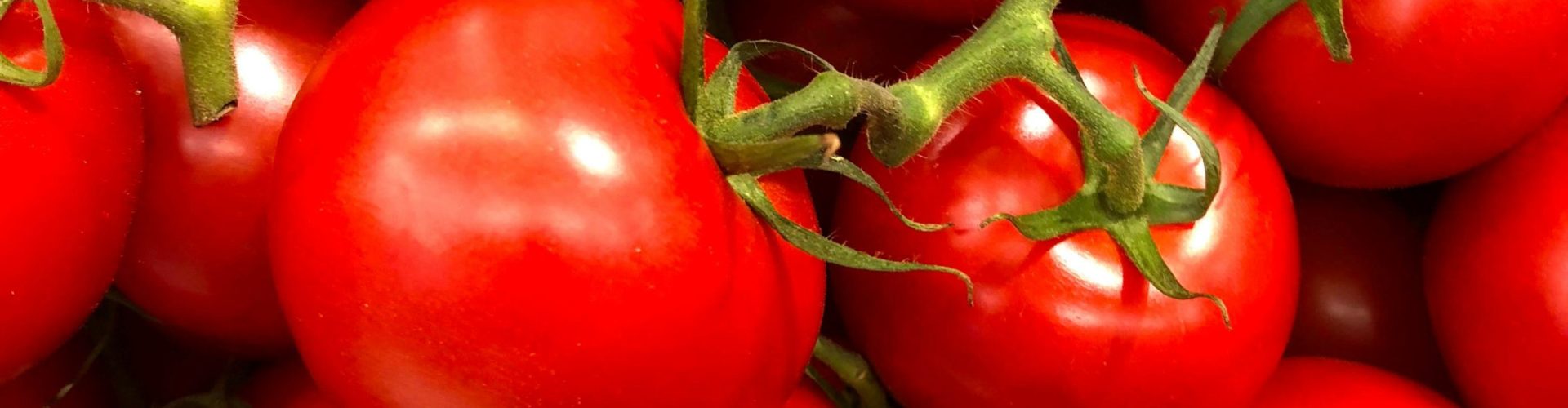 tomates rouges