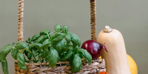 petit panier de légumes